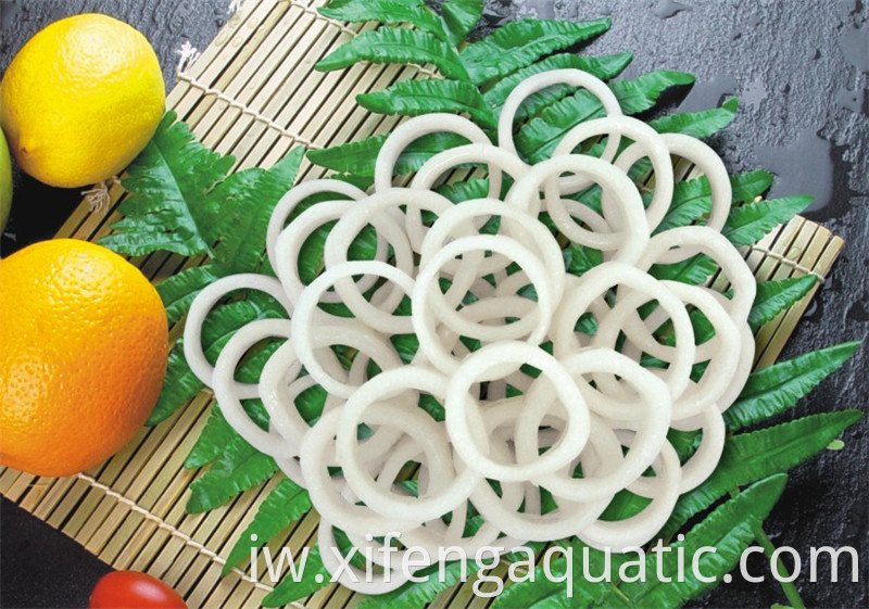 טבעת דיונון טודארודס Todarodes Squid Ring